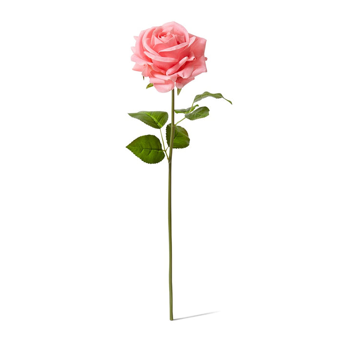 Rose Garden Short Stem (RT) Pack of 12 - Dark Pink, 45cm (H)