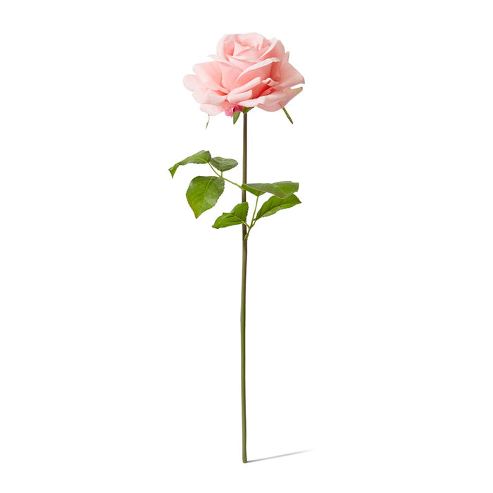 Rose Garden Short Stem (RT) Pack of 12 - Pink, 45cm (H)