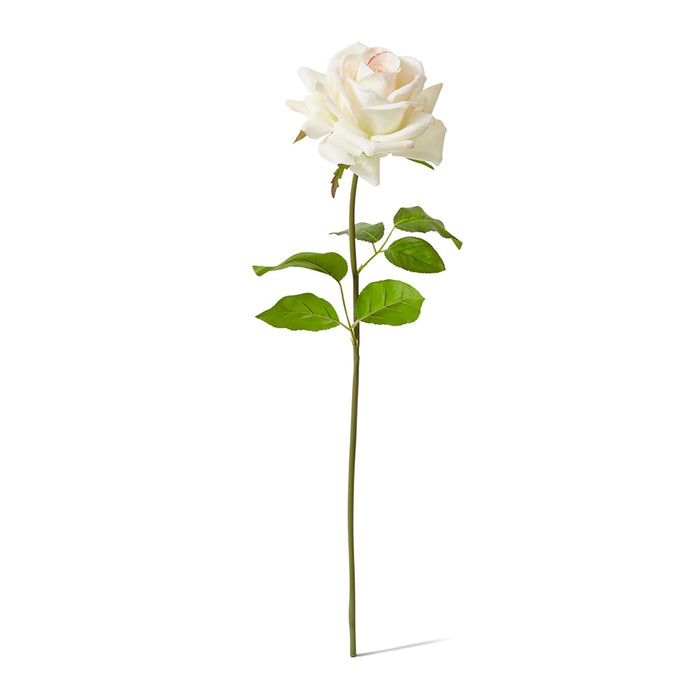 Rose Garden Short Stem (RT) Pack of 12 - Pink/Cream, 45cm (H)