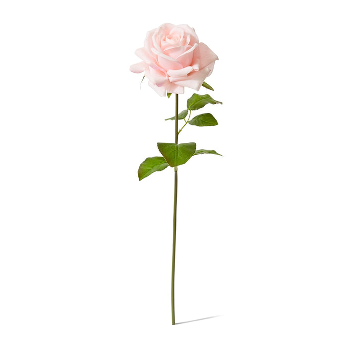 Rose Garden Short Stem (RT) Pack of 12 - Soft Pink, 45cm (H)
