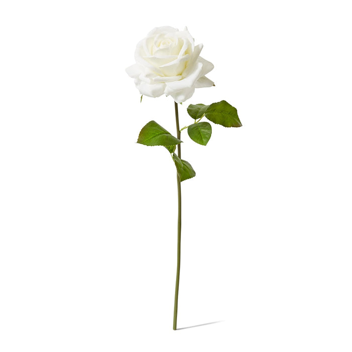 Rose Garden Short Stem (RT) Pack of 12 - White, 45cm (H)
