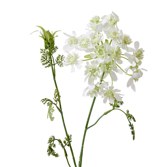 Lace Flower Stem Pack of 12 - White, 74cm (H)