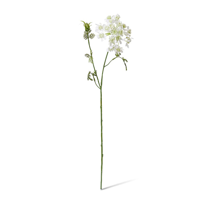 Lace Flower Stem Pack of 12 - White, 74cm (H)