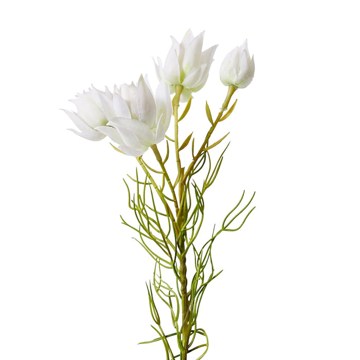 Blushing Bride Spray Pack of 12 - White, 56cm (H)