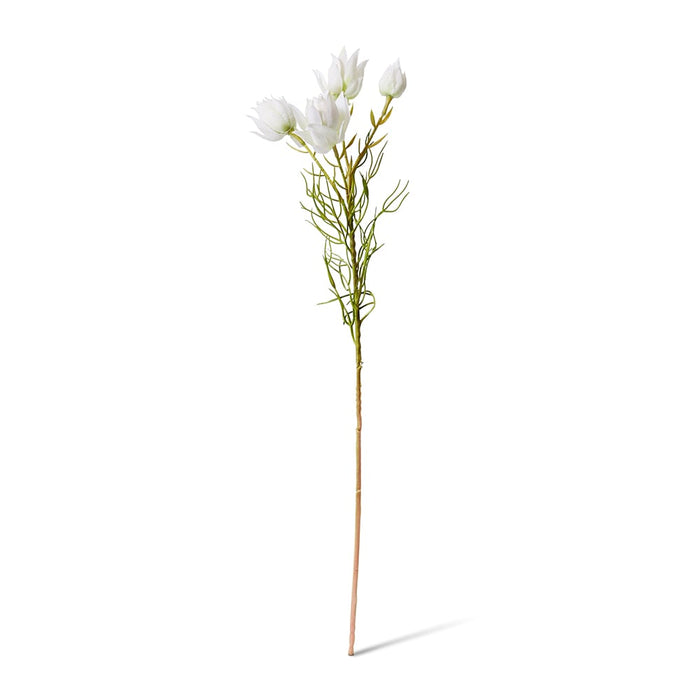 Blushing Bride Spray Pack of 12 - White, 56cm (H)