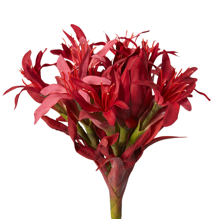 Gymea Lily Stem Pack of 2 - Red, 117cm (H)
