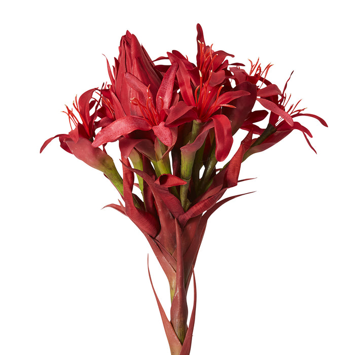 Gymea Lily Stem Pack of 2 - Red, 143cm (H)