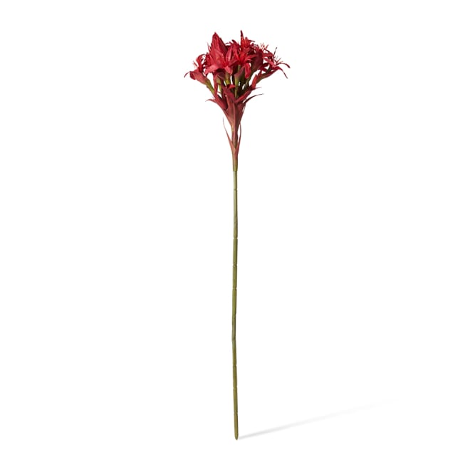 Gymea Lily Stem Pack of 2 - Red, 143cm (H)