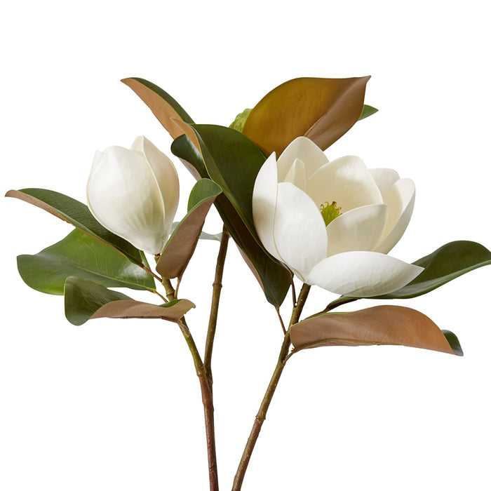 Magnolia Classic Flower & Bud Pack of 12 - White, 74cm (H)