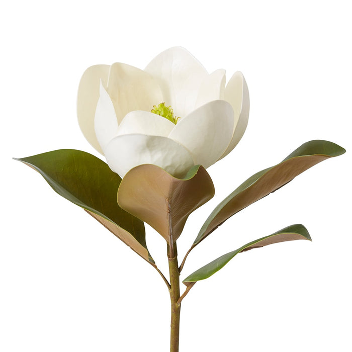 Magnolia Flower Classic Stem Pack of 12 - White, 60cm (H)