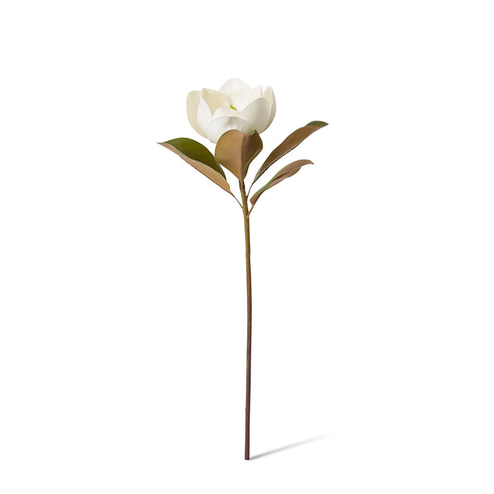 Magnolia Flower Classic Stem Pack of 12 - White, 60cm (H)