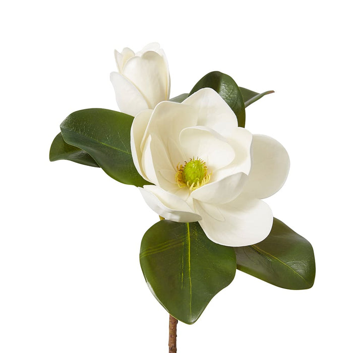 Magnolia Classic Flower Spray Pack of 12 - White, 69cm (H)