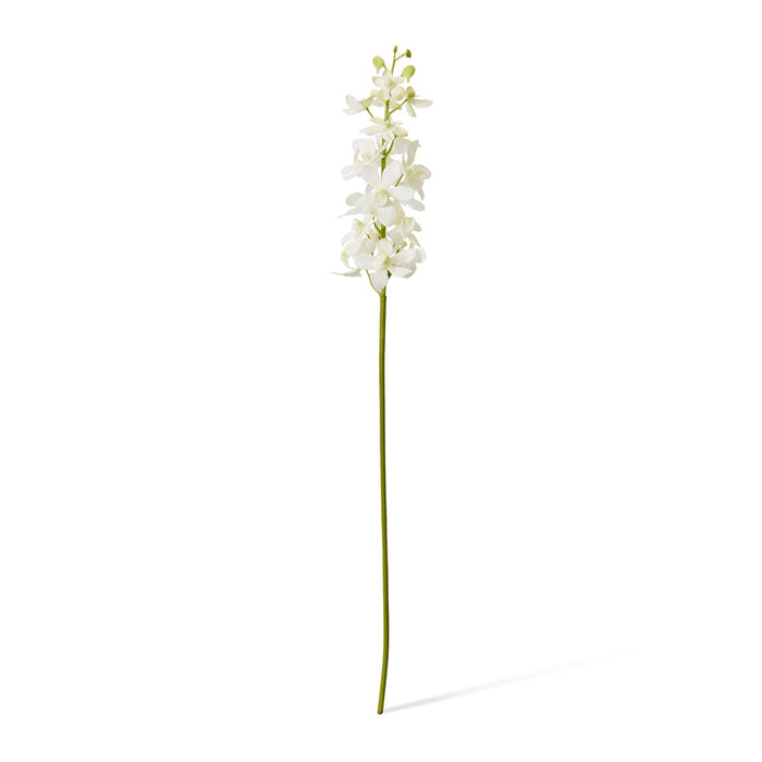 Orchid Vanda Stem Pack of 12 - White, 69cm (H)