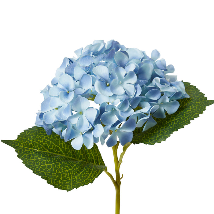 Hydrangea Garden Small Stem Pack Of 12 - Blue, 47cm (H)