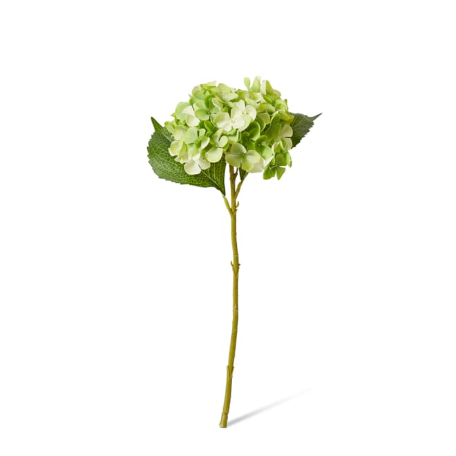 Hydrangea Garden Small Stem Pack Of 12 - Green, 47cm (H)