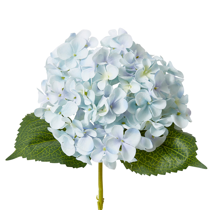 Hydrangea Garden Small Stem Pack Of 12 - Light Blue, 47cm (H)