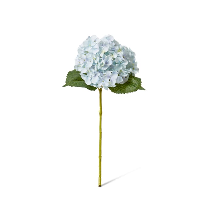 Hydrangea Garden Small Stem Pack Of 12 - Light Blue, 47cm (H)