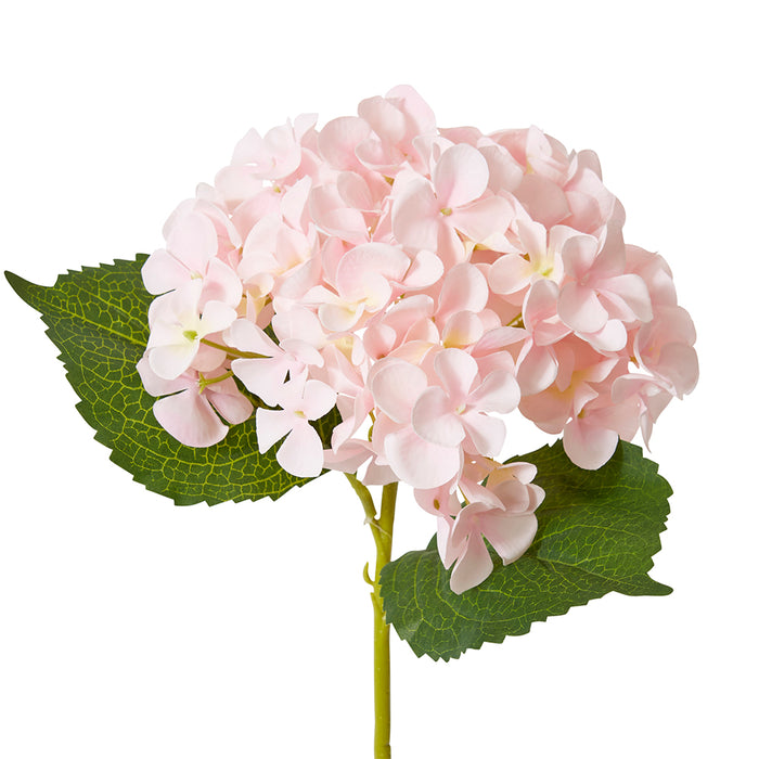 Hydrangea Garden Small Stem Pack Of 12 - Pink, 47cm (H)