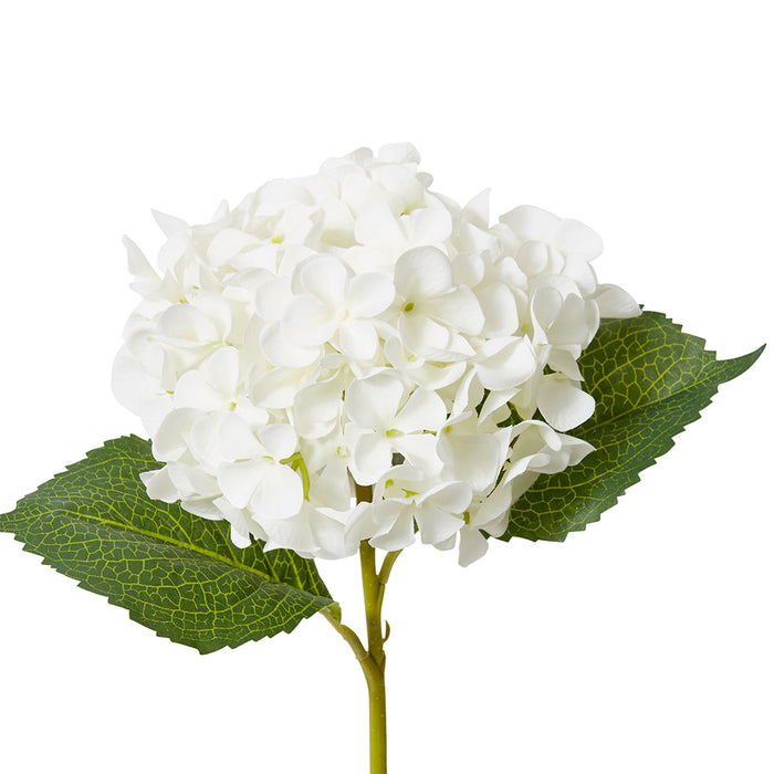 Hydrangea Garden Small Stem Pack Of 12 - White, 47cm (H)