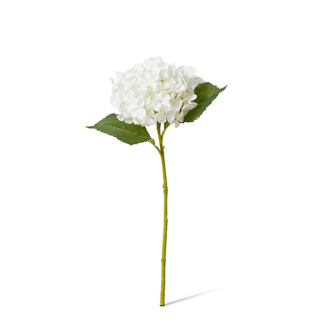 Hydrangea Garden Small Stem Pack Of 12 - White, 47cm (H)