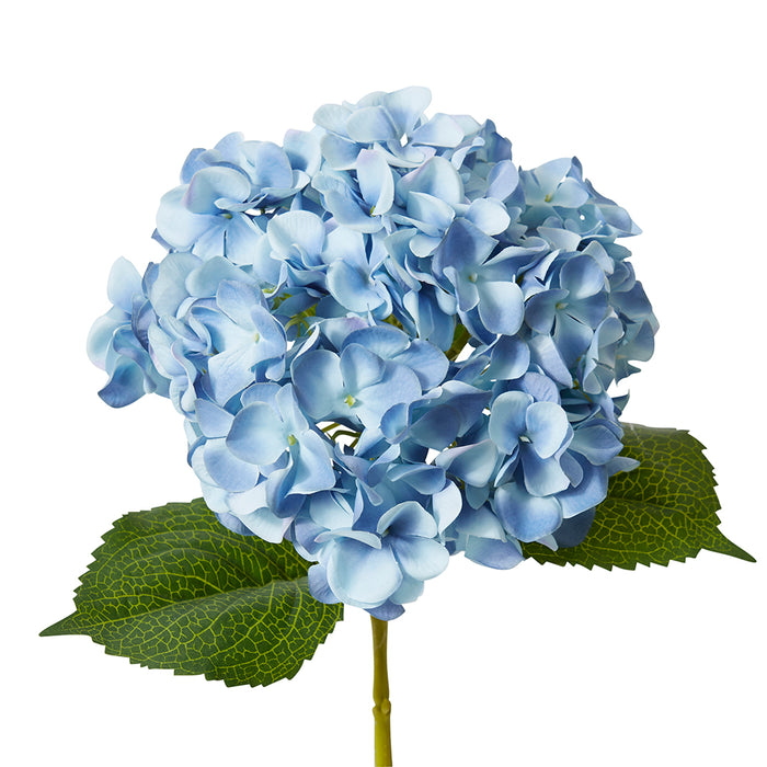 Hydrangea Garden Large Stem Pack Of 12 - Blue, 65cm (H)