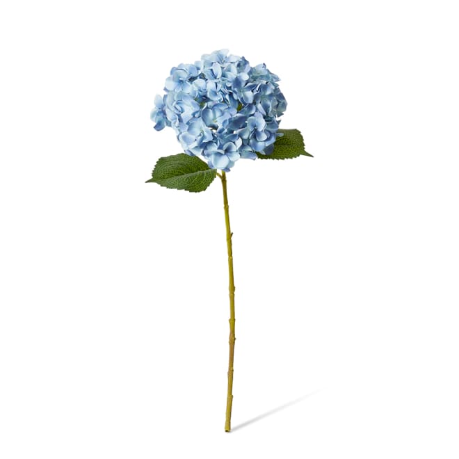 Hydrangea Garden Large Stem Pack Of 12 - Blue, 65cm (H)