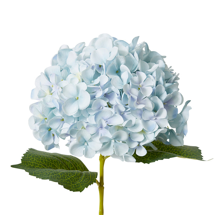 Hydrangea Garden Large Stem Pack Of 12 - Light Blue, 65cm (H)