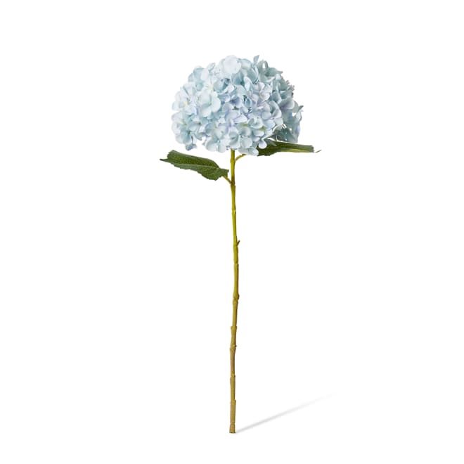 Hydrangea Garden Large Stem Pack Of 12 - Light Blue, 65cm (H)