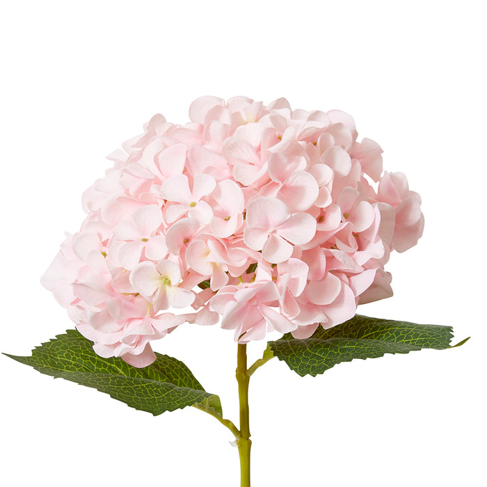 Hydrangea Garden Large Stem Pack Of 12 - Pink, 65cm (H)