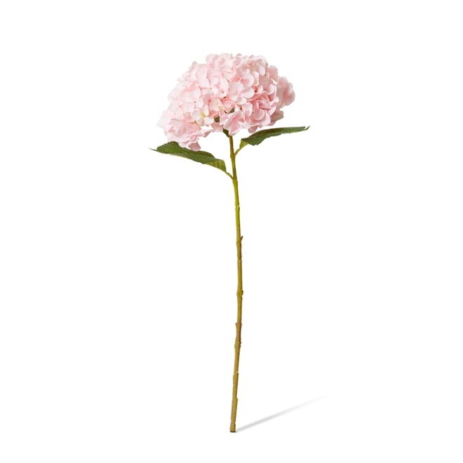 Hydrangea Garden Large Stem Pack Of 12 - Pink, 65cm (H)