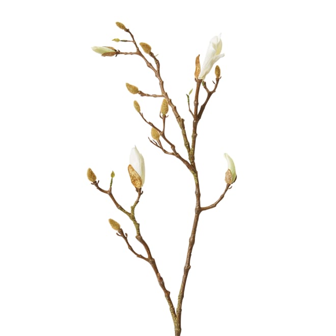 Magnolia Flowering Bud Spray - White/Brown, 104cm (H)