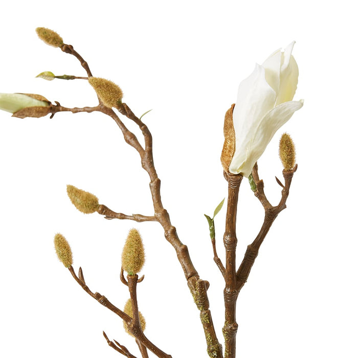 Magnolia Flowering Bud Spray - White/Brown, 104cm (H)