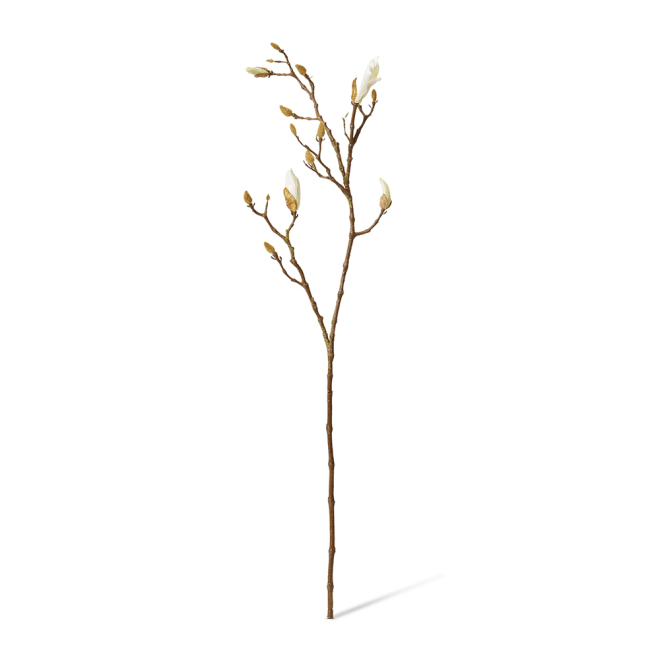Magnolia Flowering Bud Spray - White/Brown, 104cm (H)
