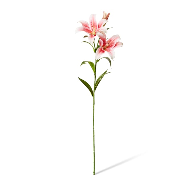 Lily Flower Spray Pack Of 12 - Dark Pink, 90cm (H)