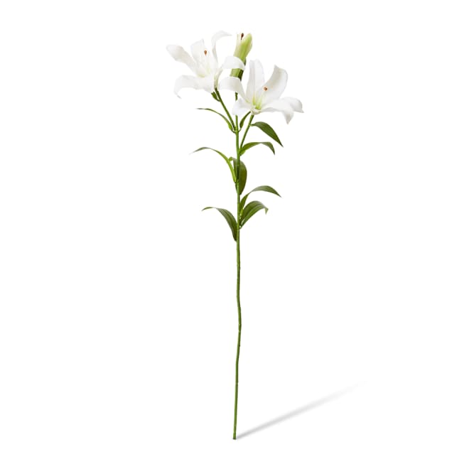 Lily Flower Spray Pack Of 12 - White, 90cm (H)