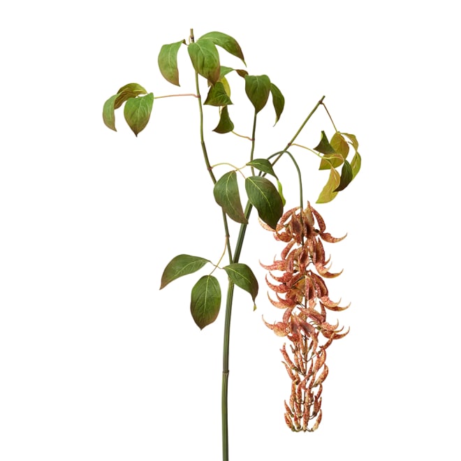 Jade Vine Flower Spray Pack of 4 - Rust, 140cm (H)