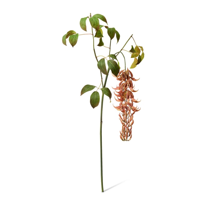 Jade Vine Flower Spray Pack of 4 - Rust, 140cm (H)