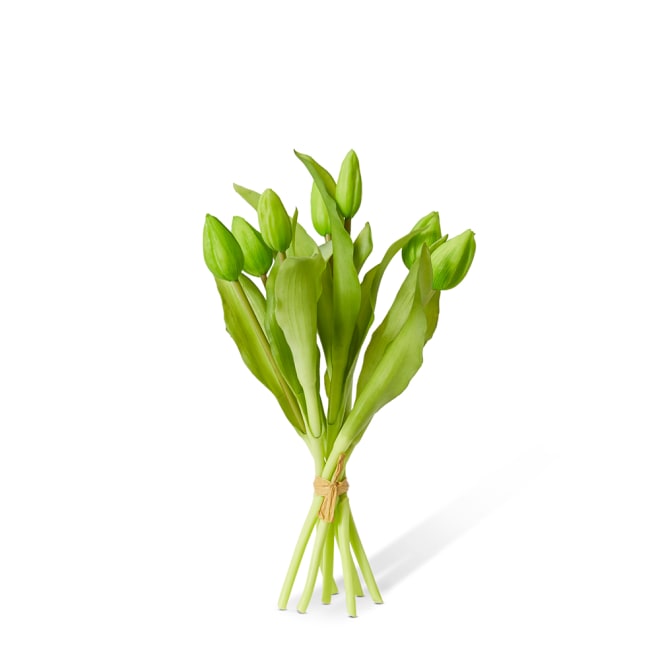 Tulip Bud Bundle Pack of 6 - Green, 30cm (H)