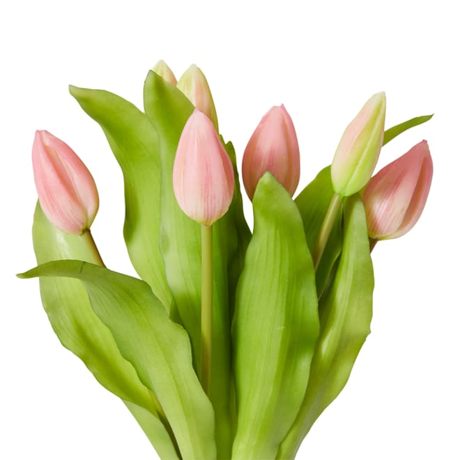 Tulip Bud Bundle Pack of 6 - Pink, 30cm (H)