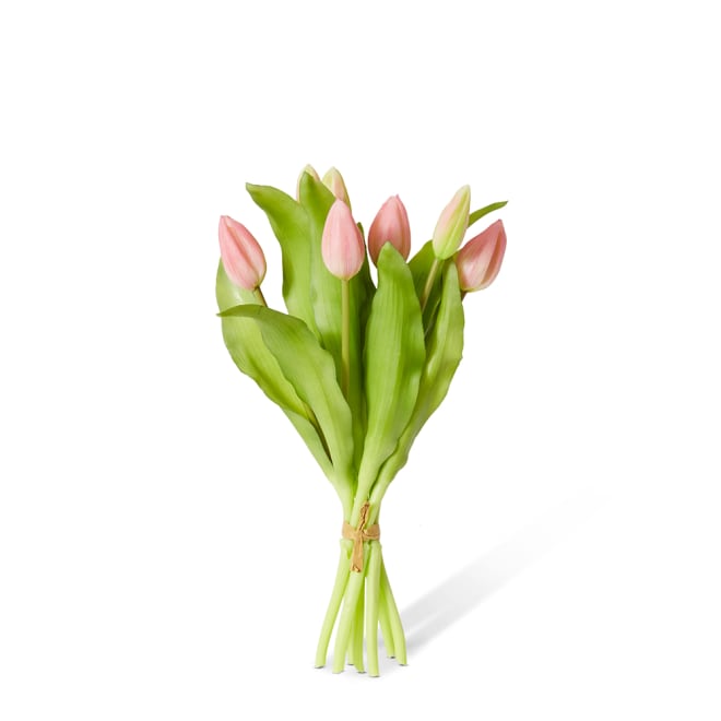 Tulip Bud Bundle Pack of 6 - Pink, 30cm (H)
