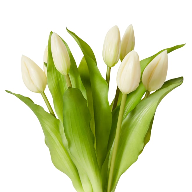 Tulip Bud Bundle Pack of 6 - White, 30cm (H)