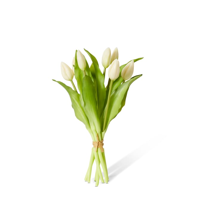 Tulip Bud Bundle Pack of 6 - White, 30cm (H)