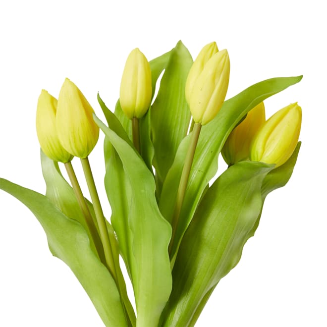 Tulip Bud Bundle Pack of 6 - Yellow, 30cm (H)