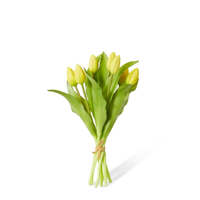 Tulip Bud Bundle Pack of 6 - Yellow, 30cm (H)