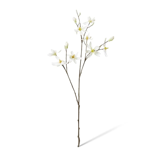 Magnolia Japanese Spray Pack Of 12 - White, 105cm (H)
