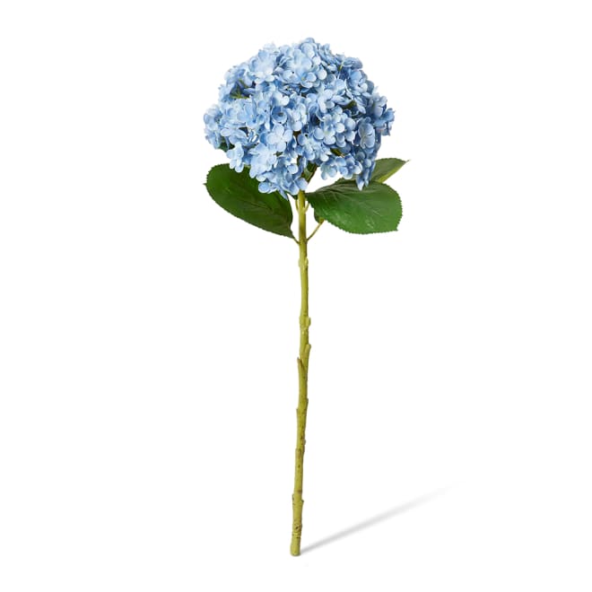 Hydrangea Stem Pack Of 12 - Blue, 75cm (H)