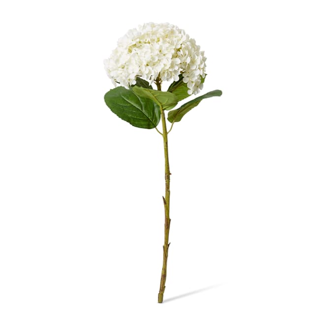 Hydrangea Stem Pack Of 12 - White, 75cm (H)