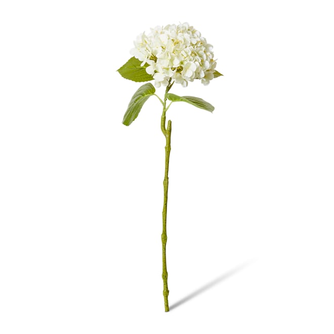 Hydrangea Bloom Stem Pack Of 12 - White, 60cm (H)