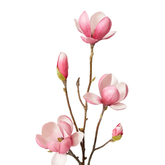 Magnolia Tree Spray Pack Of 12 - Hot Pink, 72cm (H)