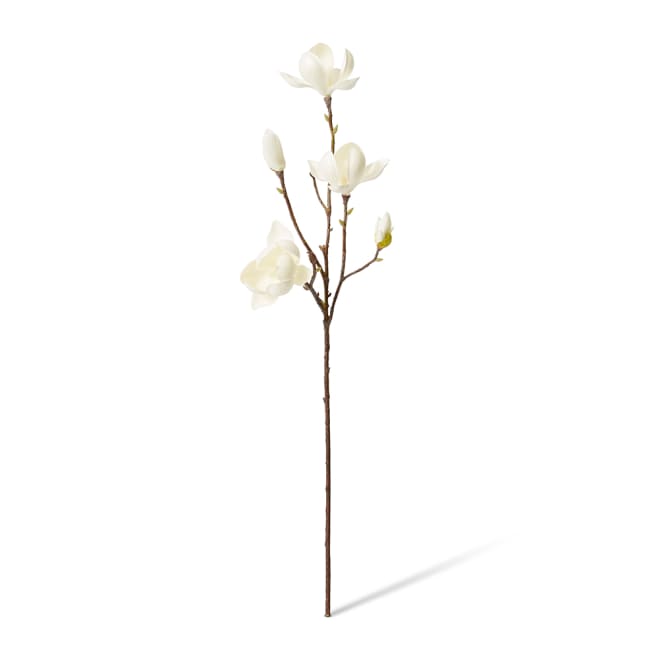 Magnolia Tree Spray Pack Of 12 - White, 72cm (H)